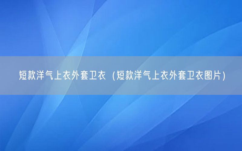 短款洋气上衣外套卫衣（短款洋气上衣外套卫衣图片）