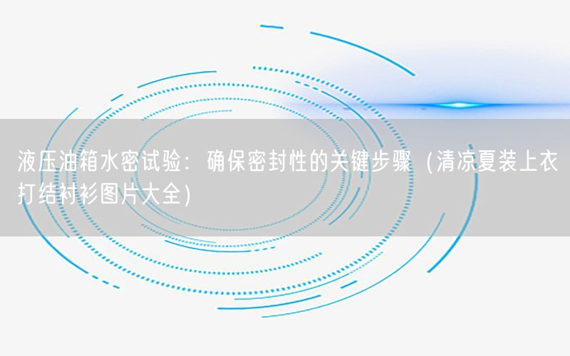 液压油箱水密试验：确保密封性的关键步骤（清凉夏装上衣打结衬衫图片大全）