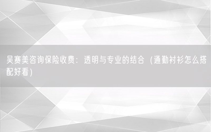 吴赛美咨询保险收费：透明与专业的结合（通勤衬衫怎么搭配好看）